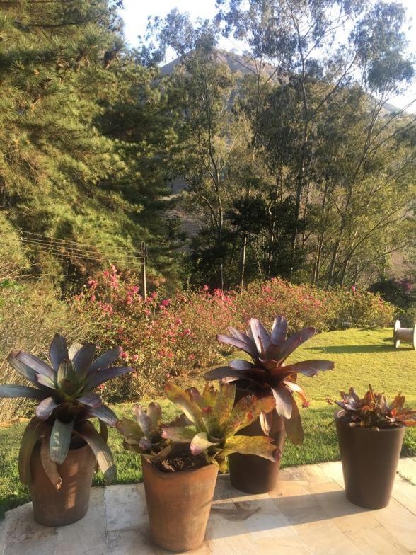 Petrópolis Nosso Sitio - Rancho Santa Clara Itaipava 빌라 외부 사진